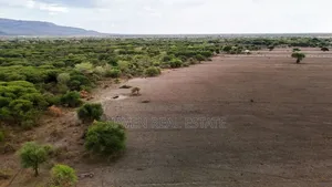 30acres Commercial Plot for Sale at Arusha