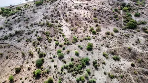 20 Acres of Land Bordering Lake Manyara for Sale at Arusha