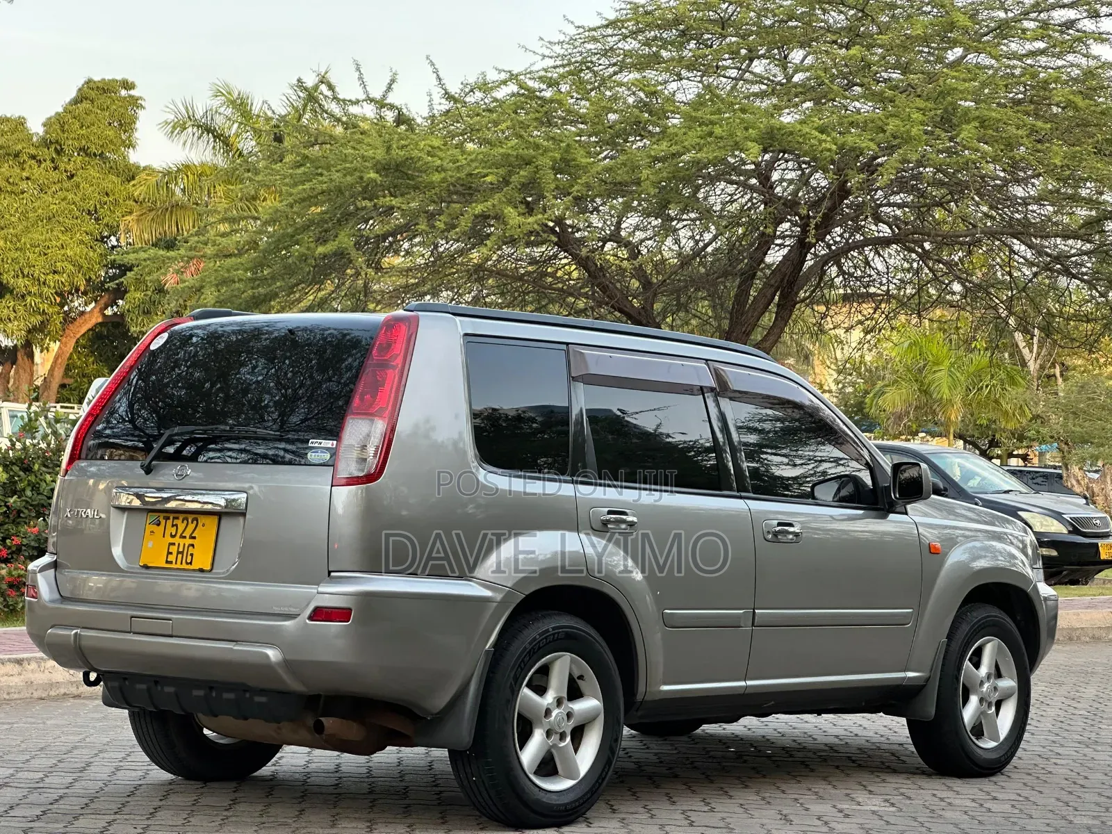 Nissan X-Trail 2.0 2001 Brown