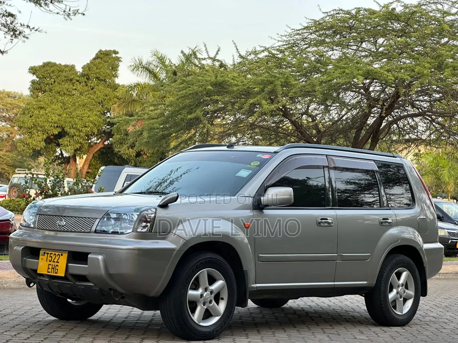 Nissan X-Trail 2.0 2001 Brown