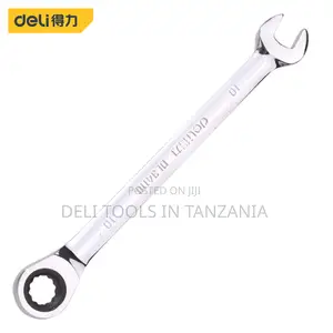 Deli Ratchet Spanner