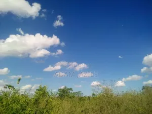 Shamba Ekari 15 Linuzwa Msata Chalinze