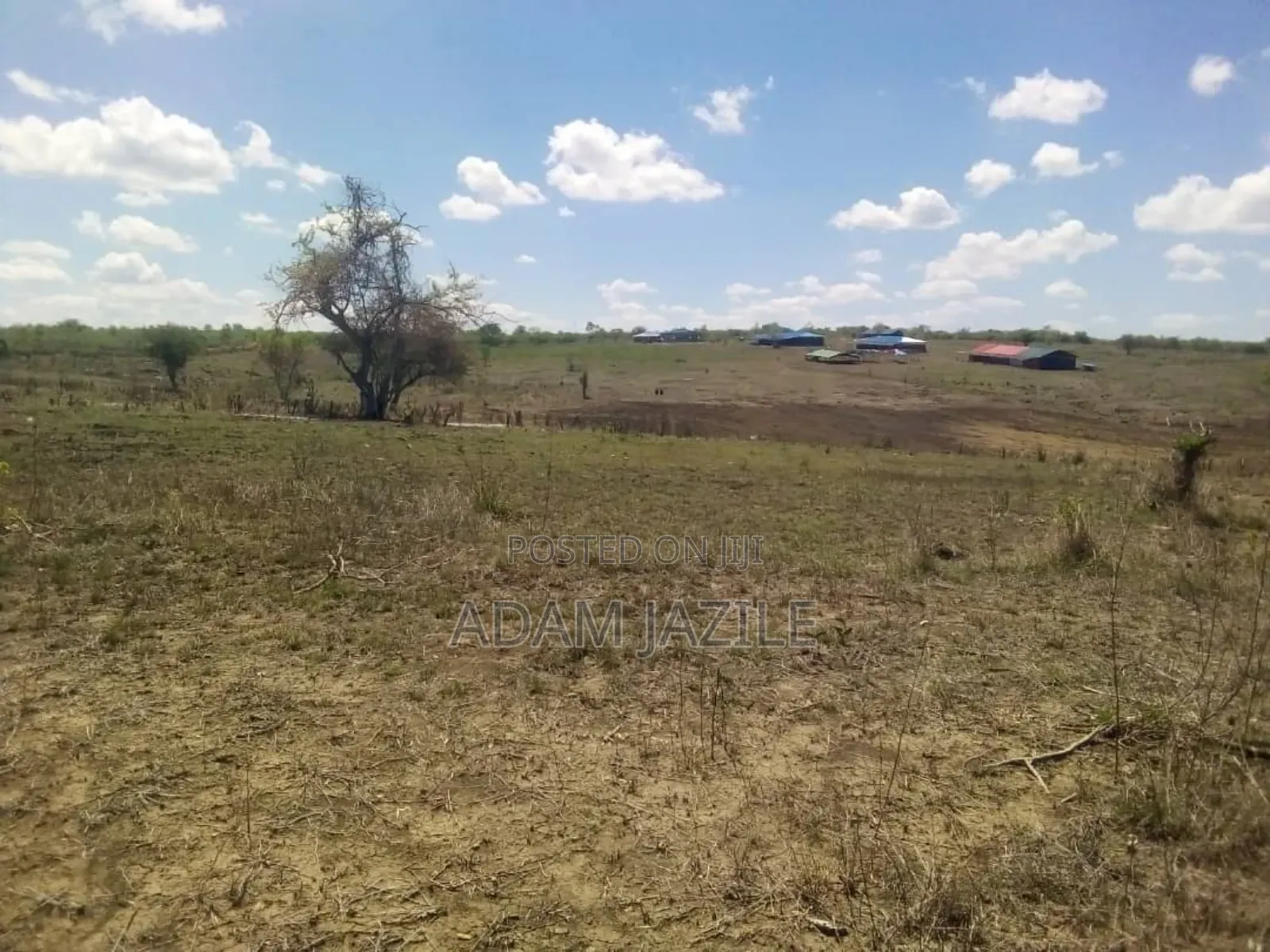 Shamba Ekari 15 Linuzwa Msata Chalinze