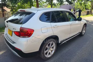 BMW X1 2009 White