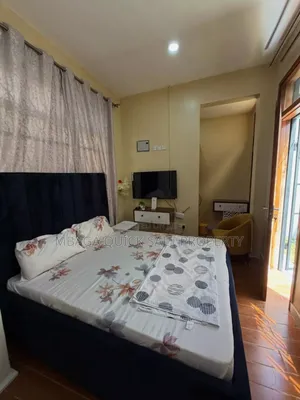Furnished 1bdrm Apartment in Kijitonyama for rent