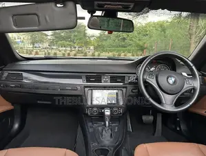 BMW 3 Series 2010 Gray