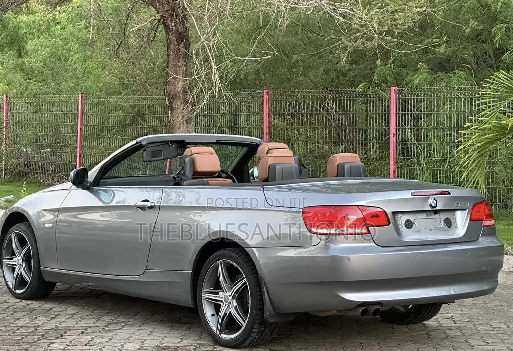 BMW 3 Series 2010 Gray