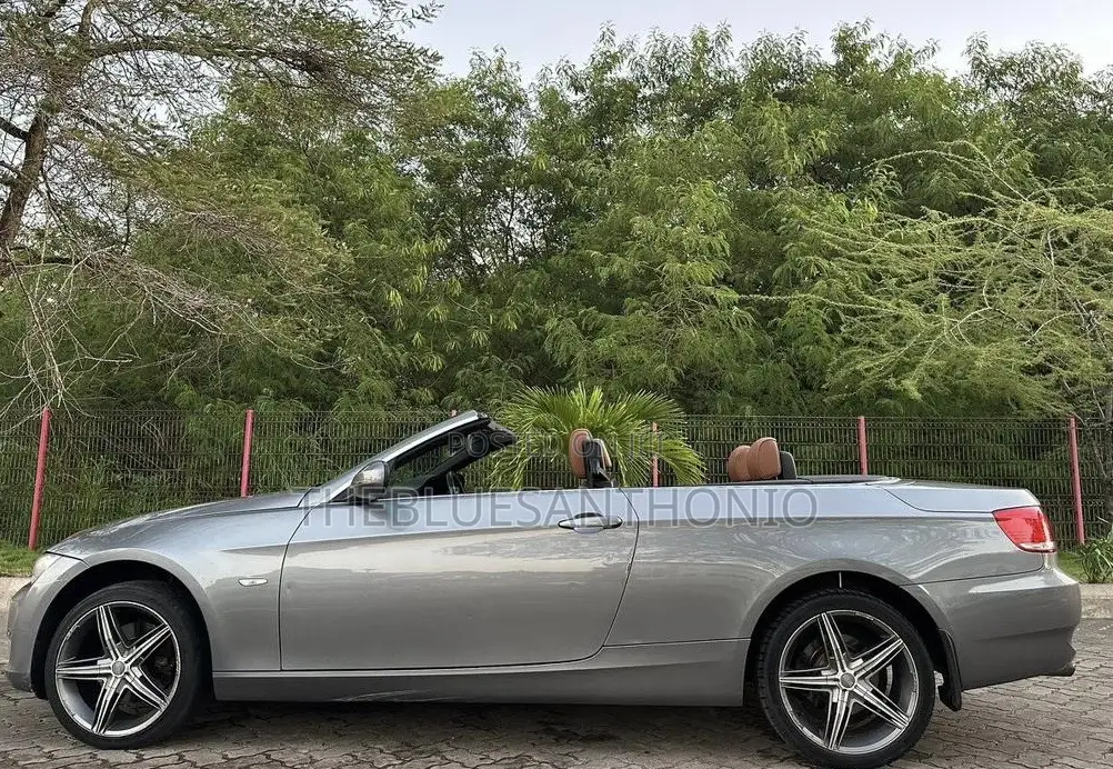 BMW 3 Series 2010 Gray