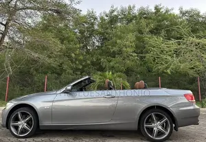 BMW 3 Series 2010 Gray