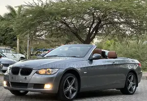 BMW 3 Series 2010 Gray