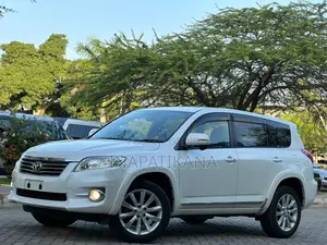 Toyota Vanguard 2010 Pearl