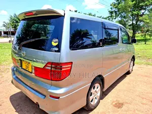 Toyota Alphard 2003 Gray