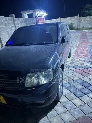Toyota Probox 2006 Black