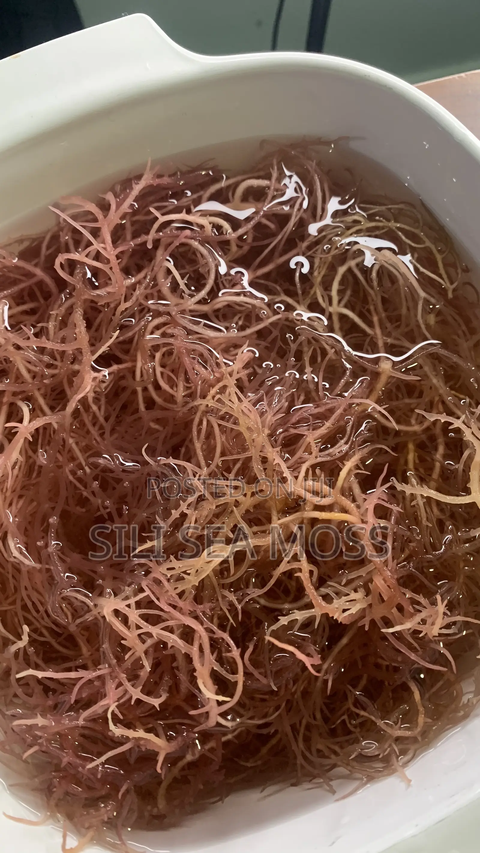 Sea Moss Grad A