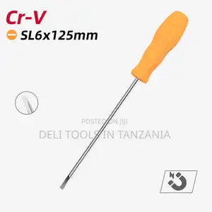 Slotted Screwdriver