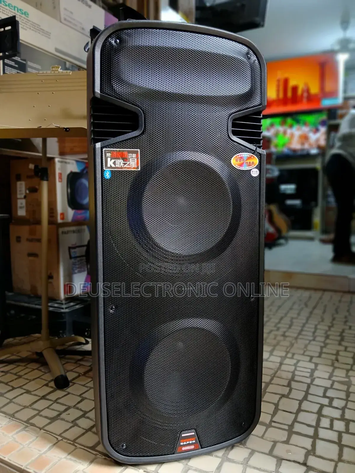 ` Temeisheng Speaker` Rechargeable 2 Microphone Bluetooth