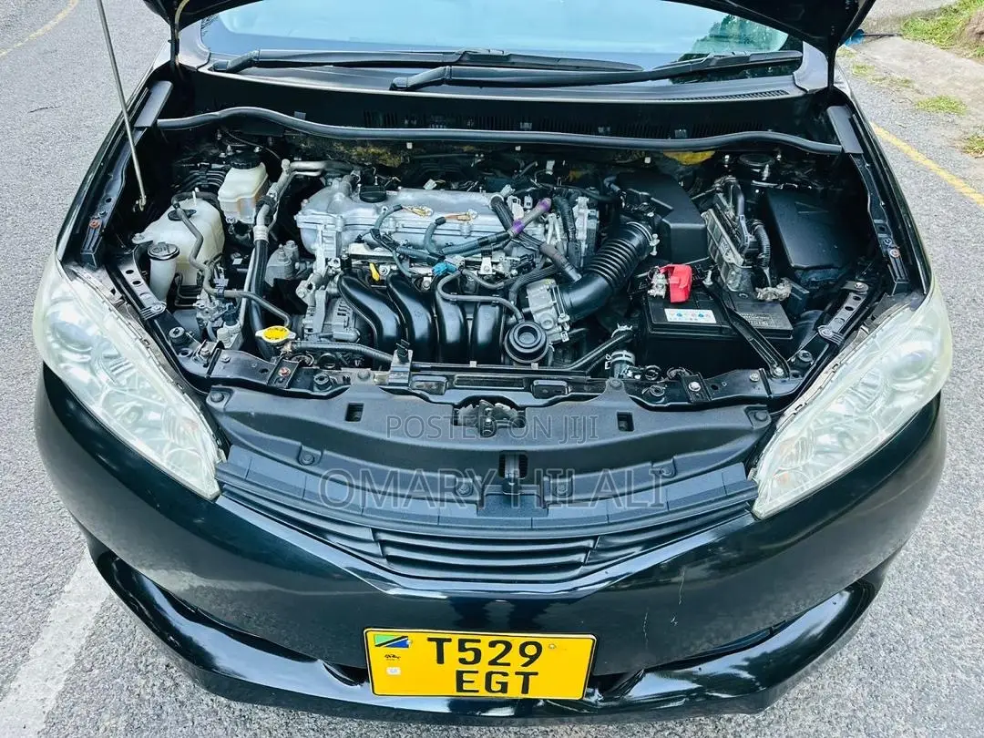 Toyota Wish 2010 Black