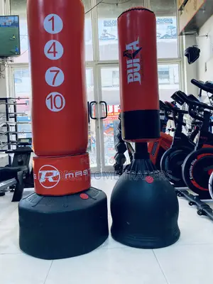Standing Punching Bag