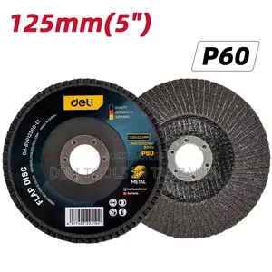 Deli Flap Disc