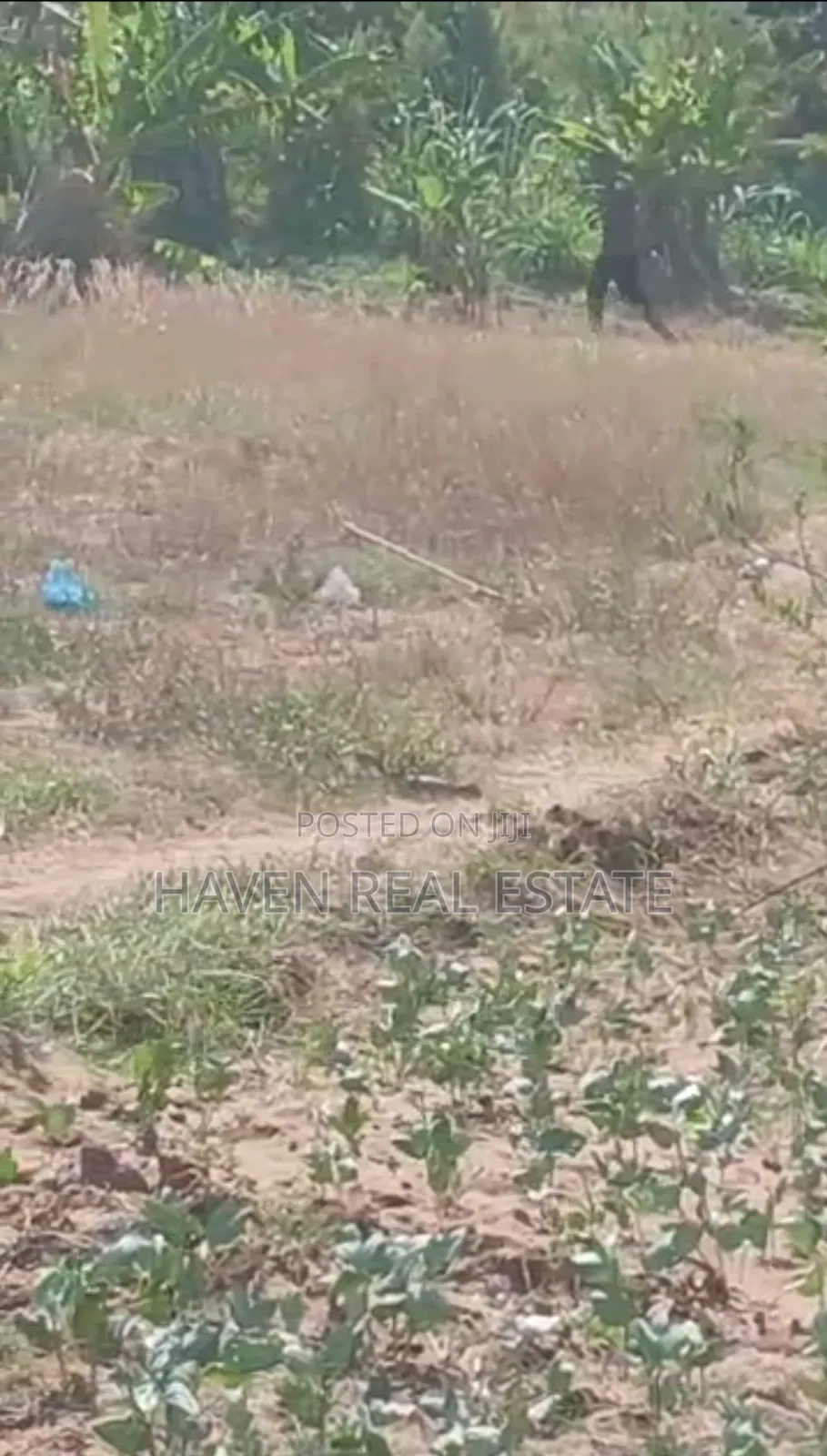 Kiwanja Kinauzwa Mbweni Moga