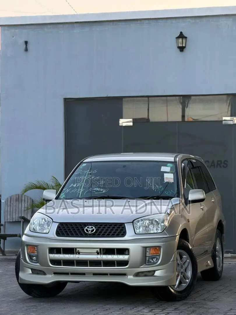 Toyota RAV4 2002 Gold