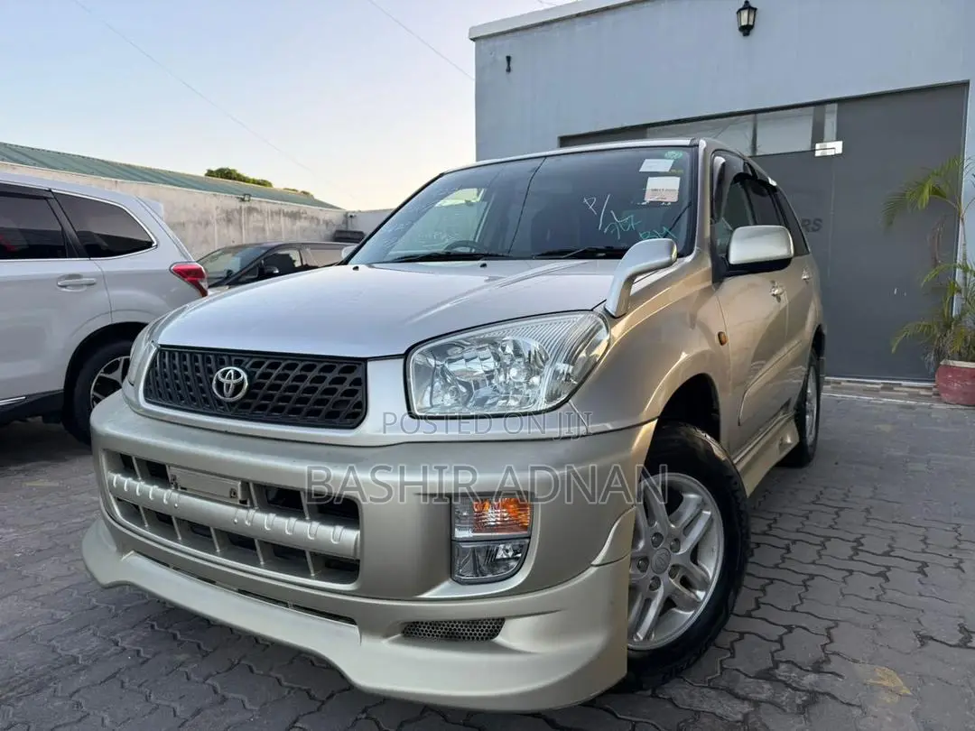 Toyota RAV4 2002 Gold