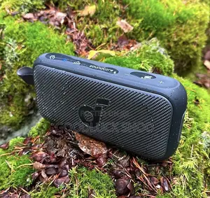 Soundcore Motion 300 Portable Bluetooth Speaker