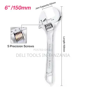 Deli Adjustable Spanner