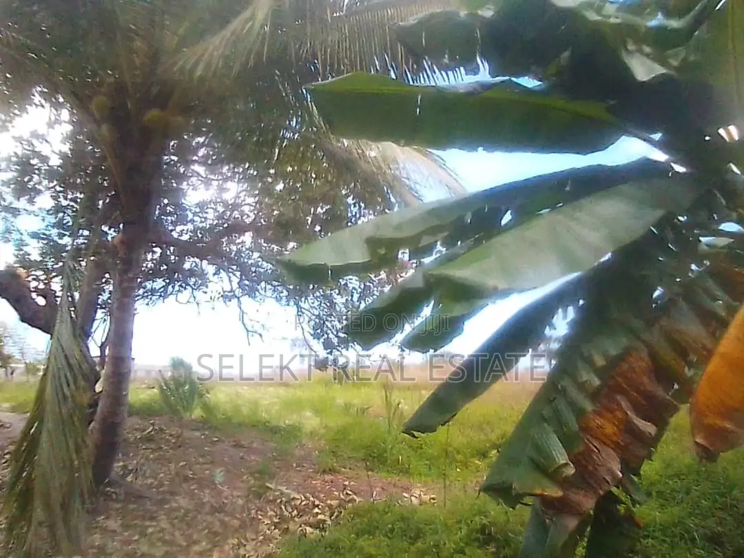 1747sqm Residential Plot at Kigamboni Mwembe Mdogo
