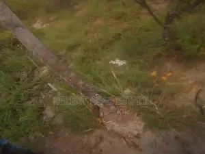 1747sqm Residential Plot at Kigamboni Mwembe Mdogo