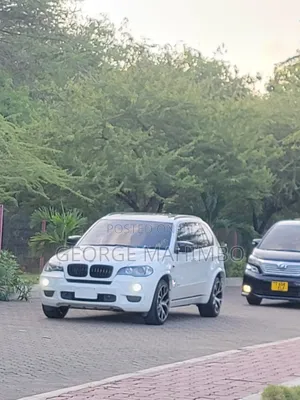 BMW X5 2009 White