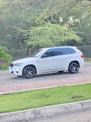 BMW X5 2009 White