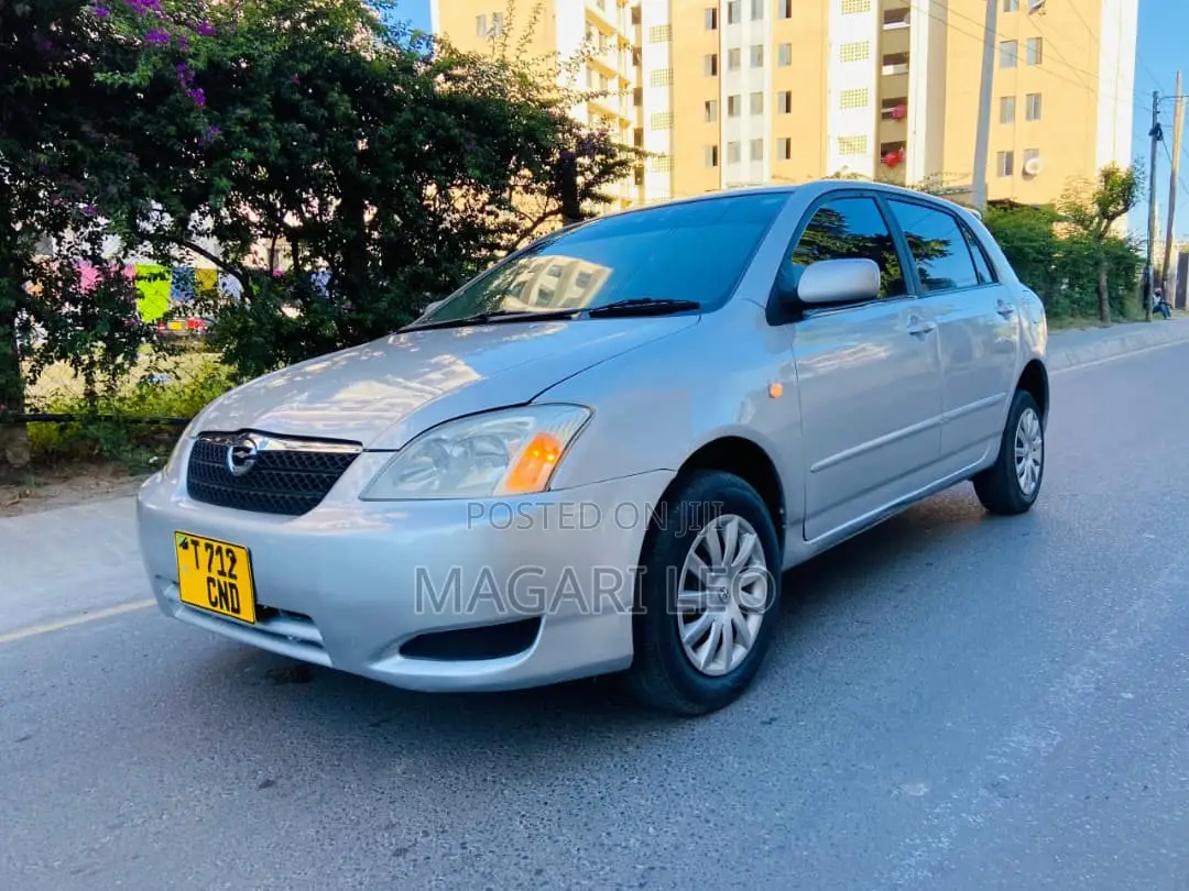 Toyota Allex 2005 Silver