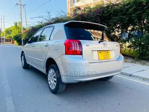 Toyota Allex 2005 Silver