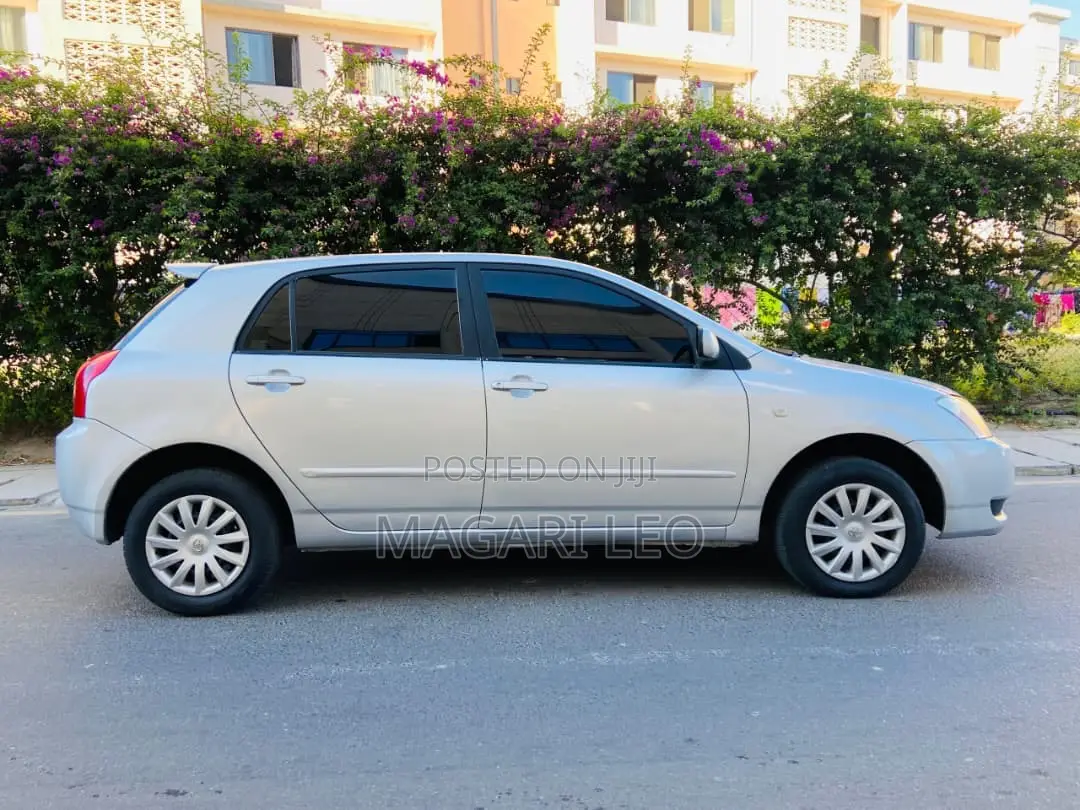Toyota Allex 2005 Silver
