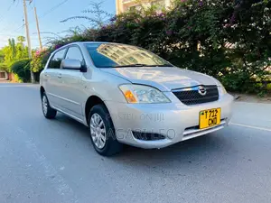 Toyota Allex 2005 Silver