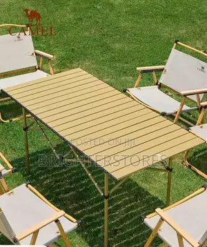 Outdoor Picnic N Camping Folding Table