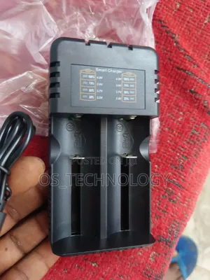 Original Fast Lithium Battery Charger Double Line.15w 2.4a 5v