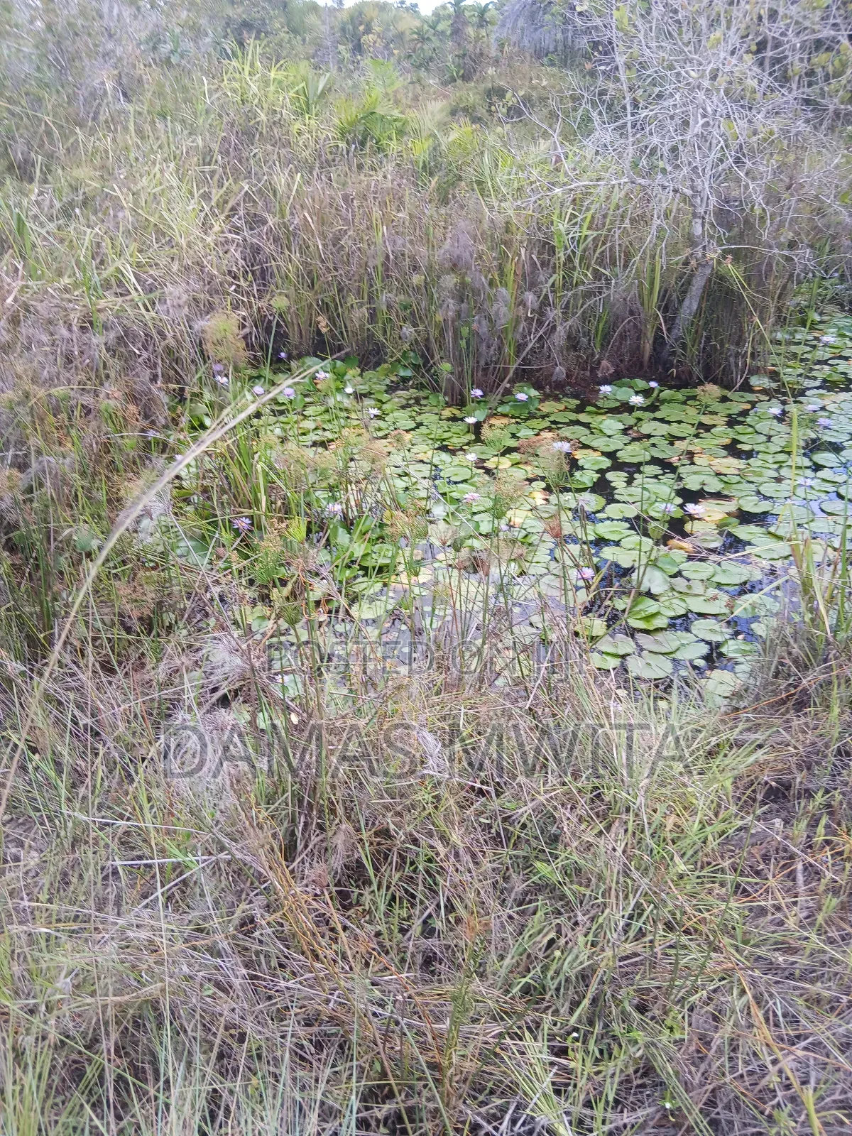 16 Acres Investment Opportunity in Mkuranga