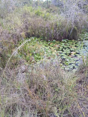 16 Acres Investment Opportunity in Mkuranga