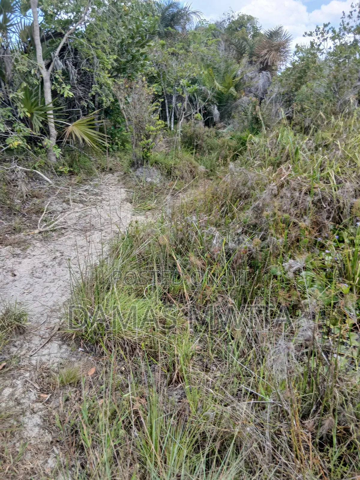 16 Acres Investment Opportunity in Mkuranga