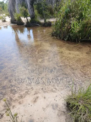 16 Acres Investment Opportunity in Mkuranga