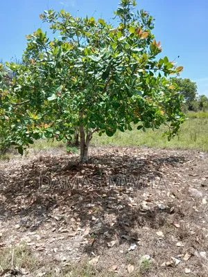 16 Acres Investment Opportunity in Mkuranga