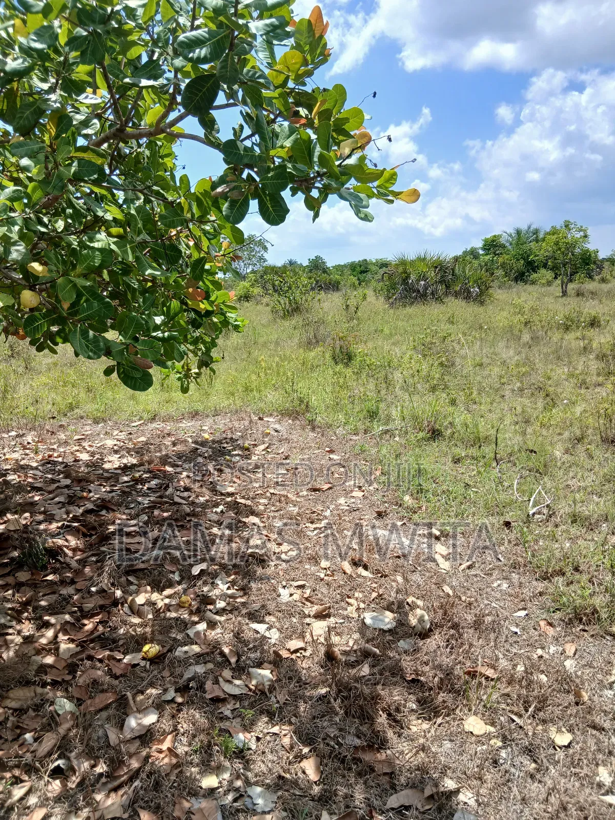 16 Acres Investment Opportunity in Mkuranga