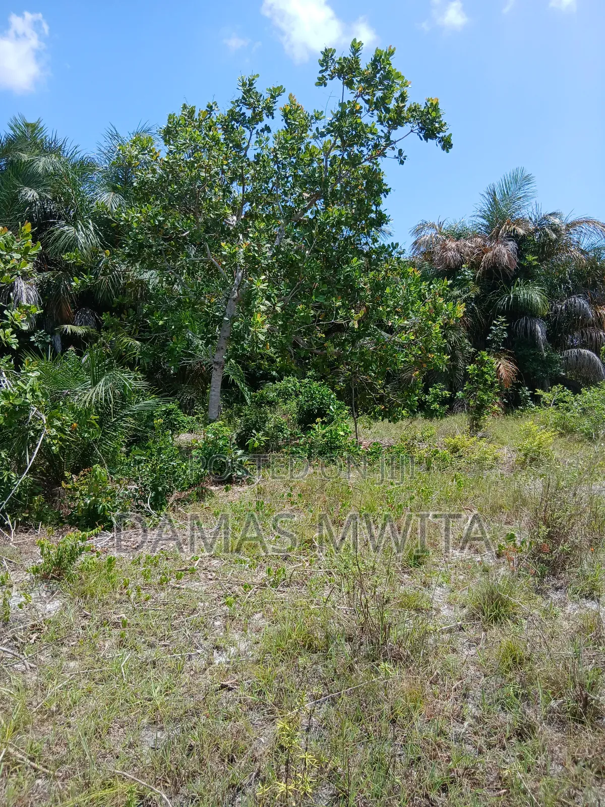16 Acres Investment Opportunity in Mkuranga