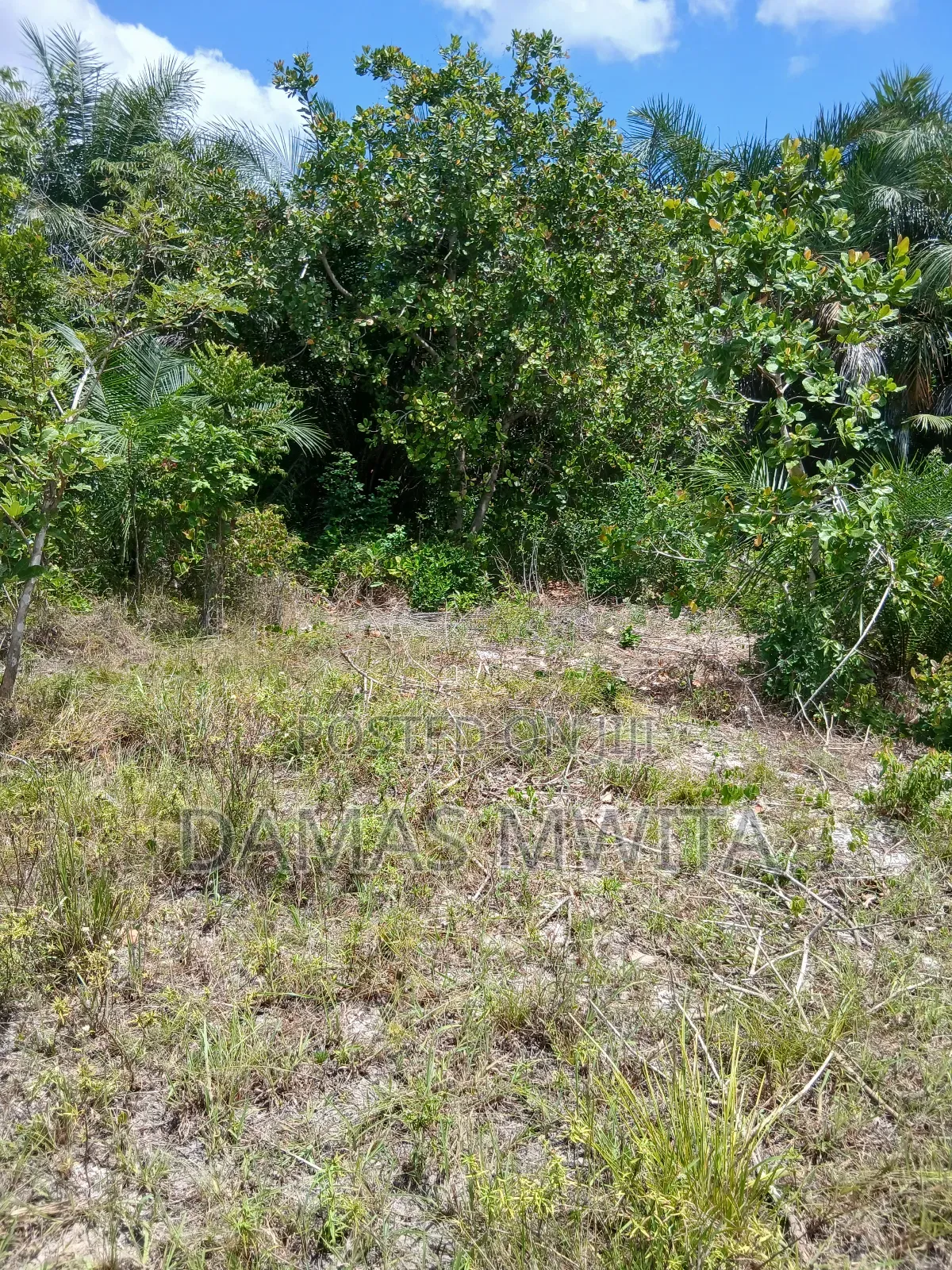 16 Acres Investment Opportunity in Mkuranga