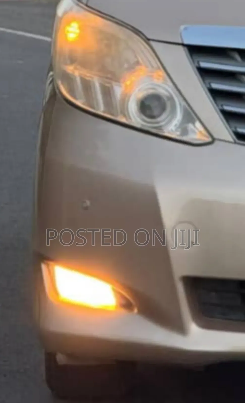 Toyota Alphard 2009 Gold