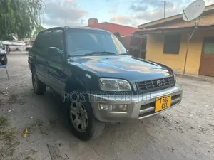 Toyota RAV4 1996 Black
