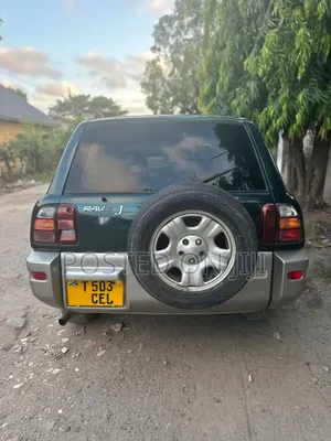 Toyota RAV4 1996 Black