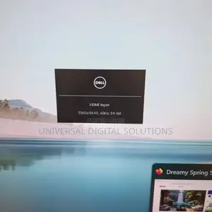 Dell Monitor